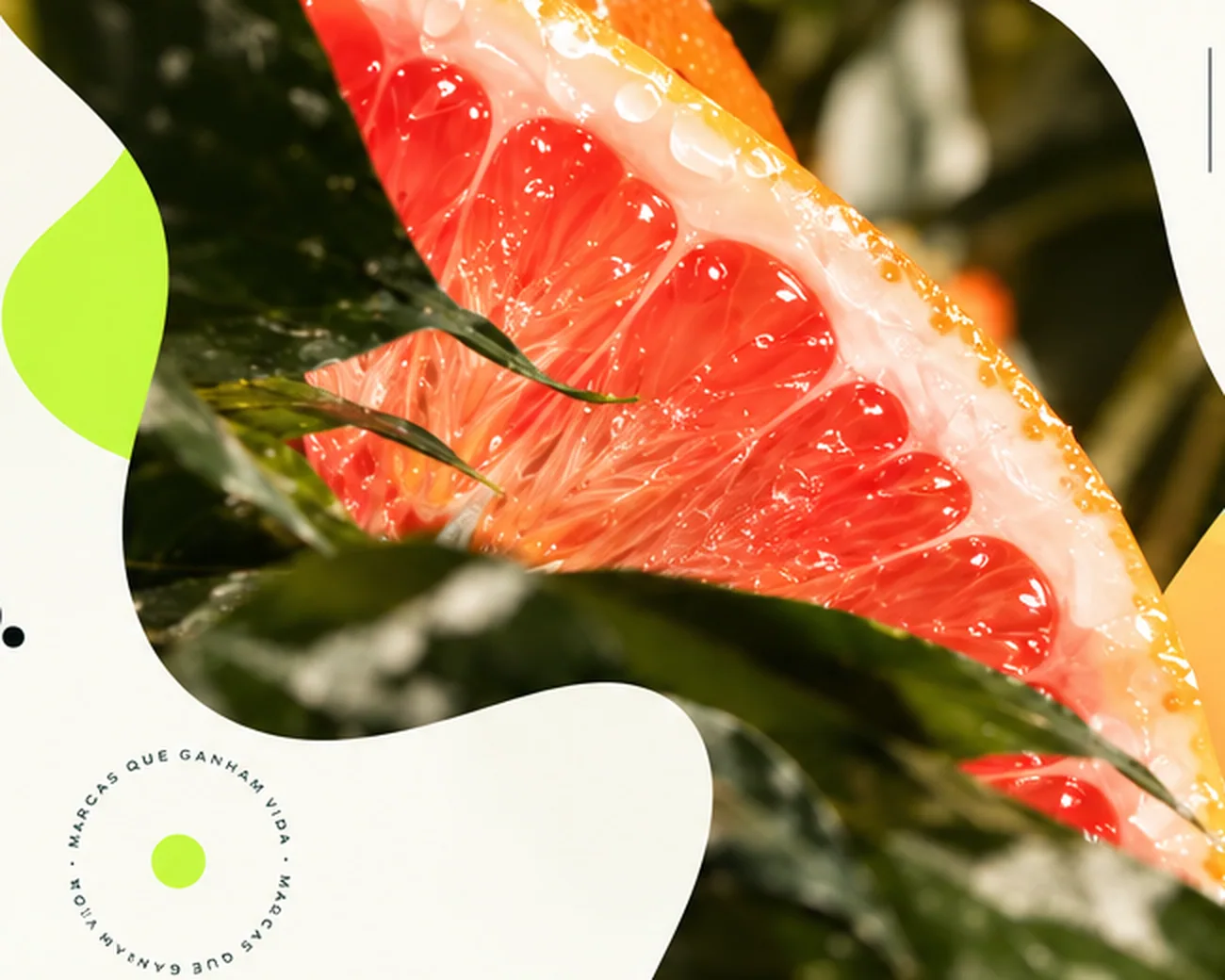 Composição visual autoral com fruta cítrica fotografada e recortes orgânicos